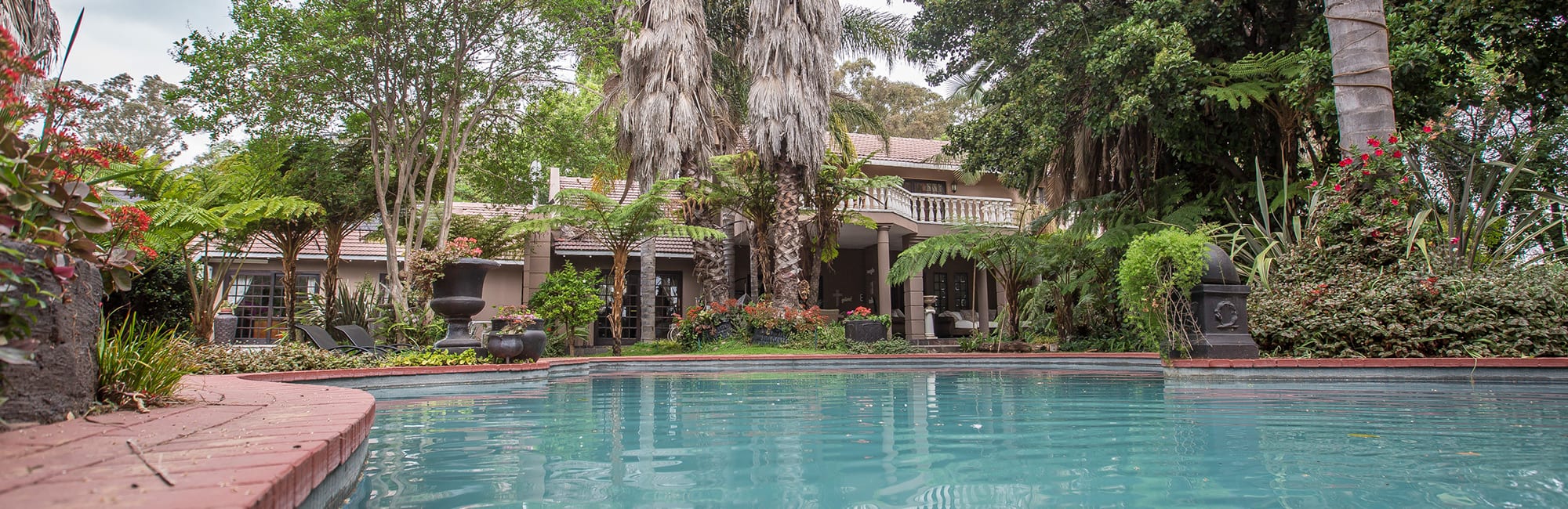 Swimming pool and garden